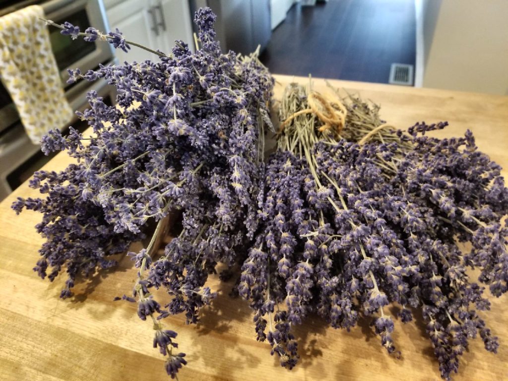Dried Lavender Bundles Available Tenderloin Farms